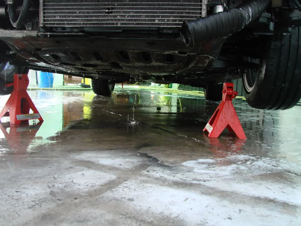 DSC08176.webp