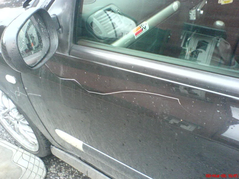 DSC08214.webp