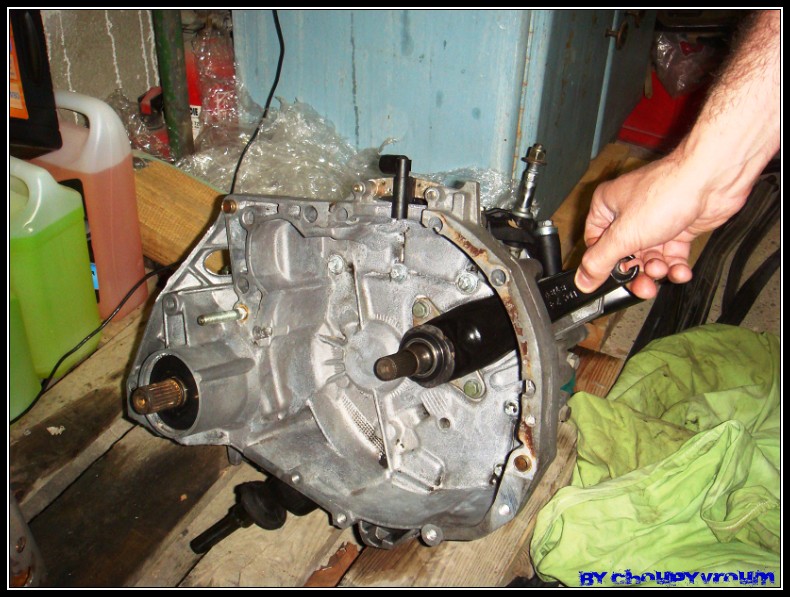 DSC08241-border1.jpg