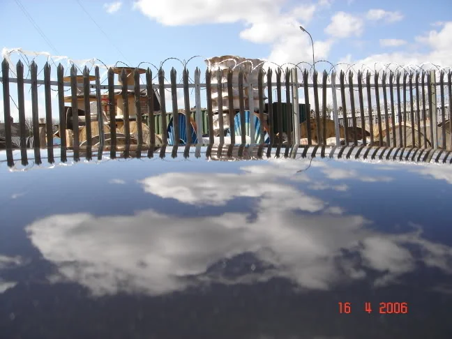 DSC08289.webp