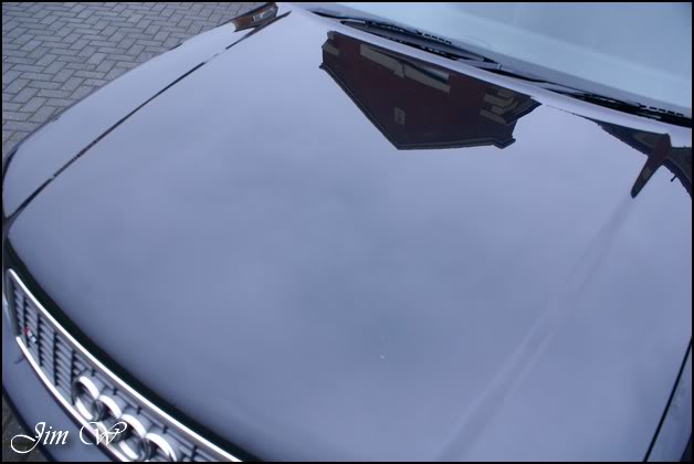 DSC09091wd.jpg DSC09091wd.jpg