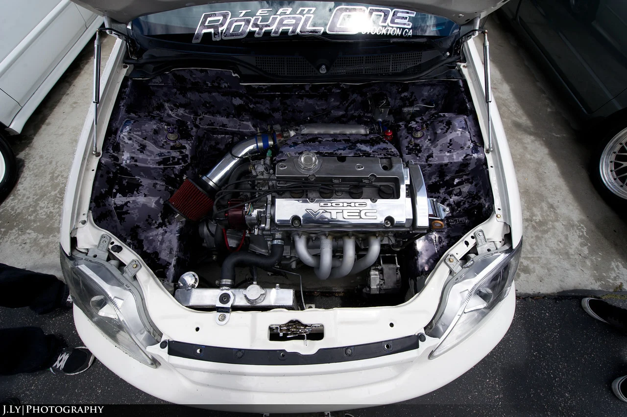 DSC3149-copy-X2.webp