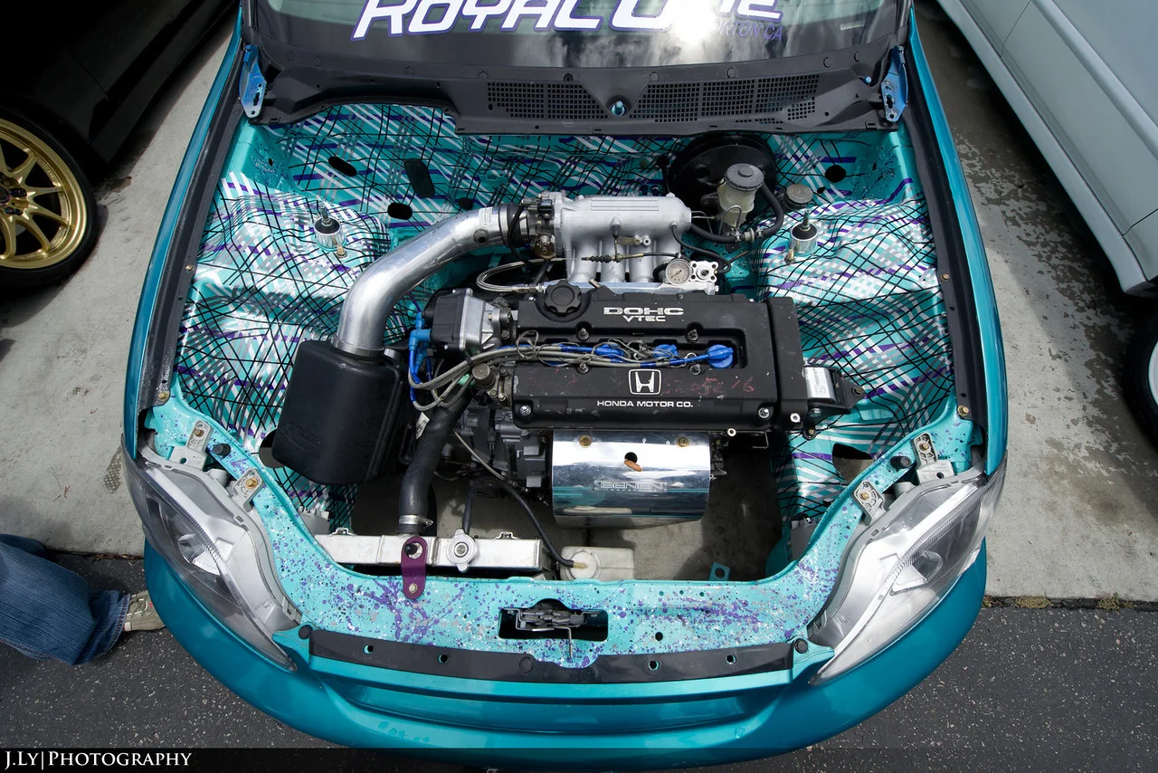 DSC3152-copy-X2.webp
