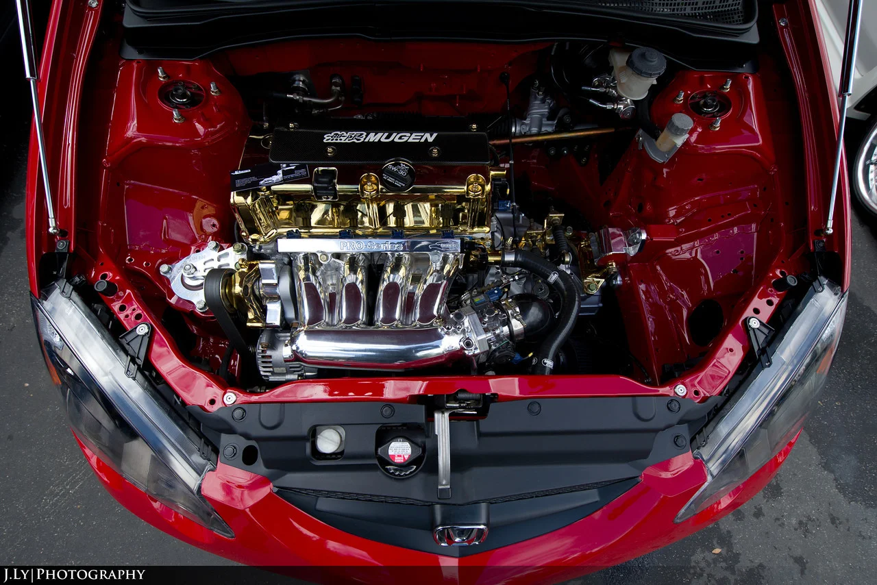 DSC3167-copy-X2.webp