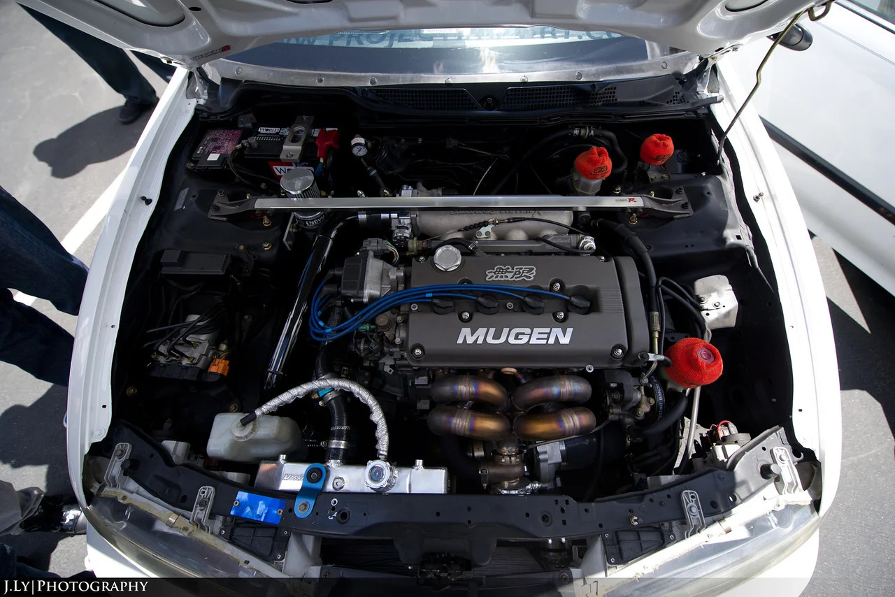 DSC3237-copy-X2.webp