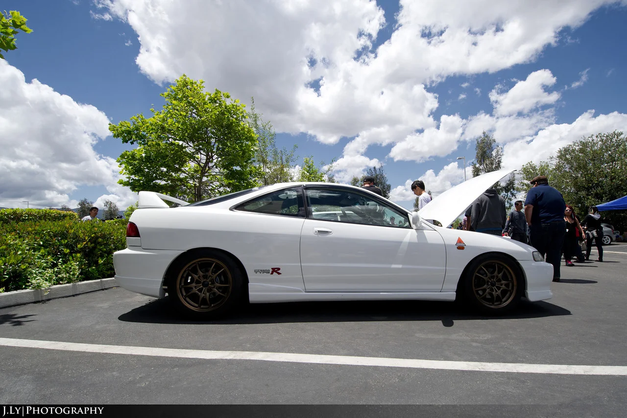 DSC3239-copy-X2.webp