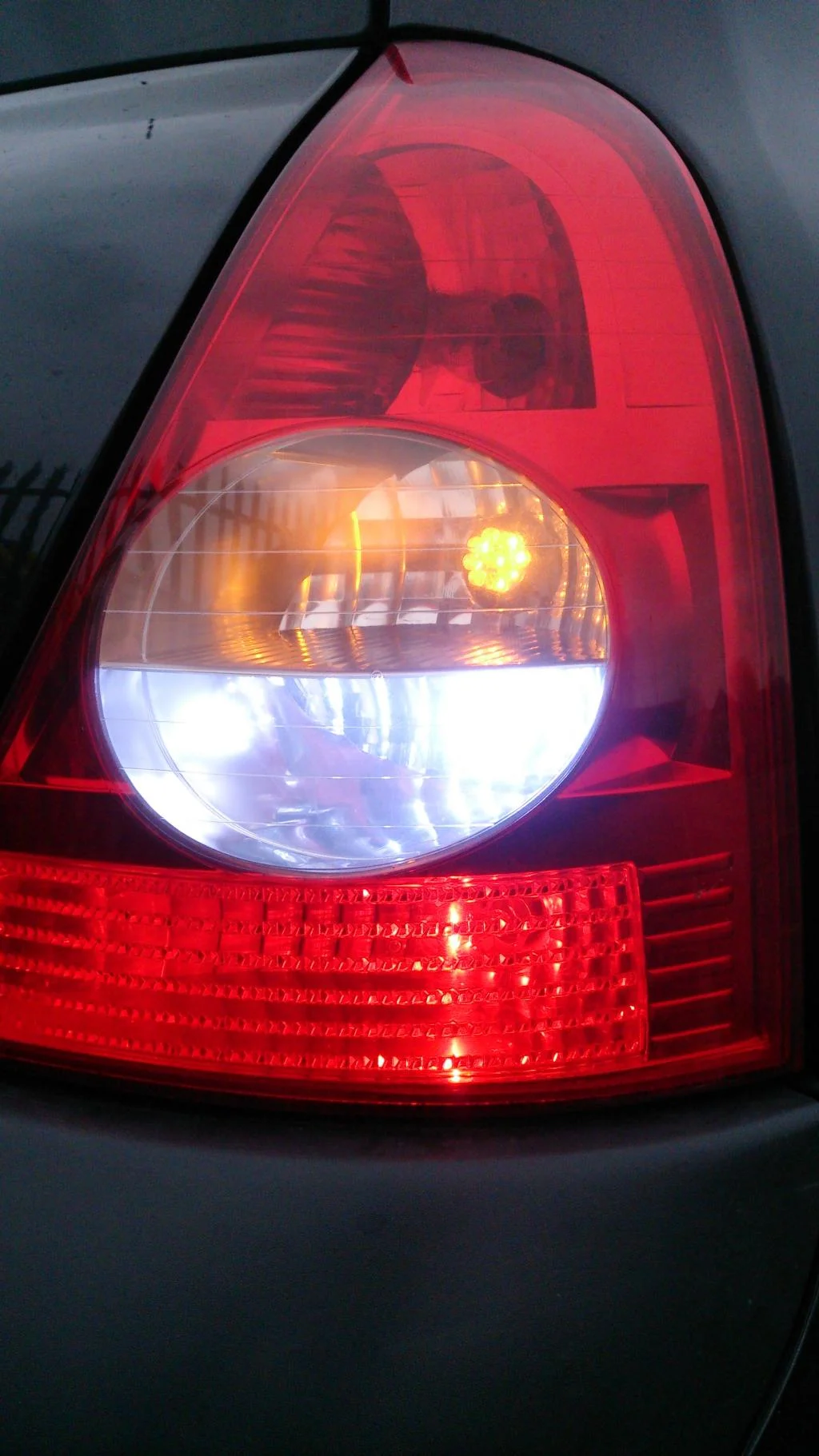 DSC_000001.webp