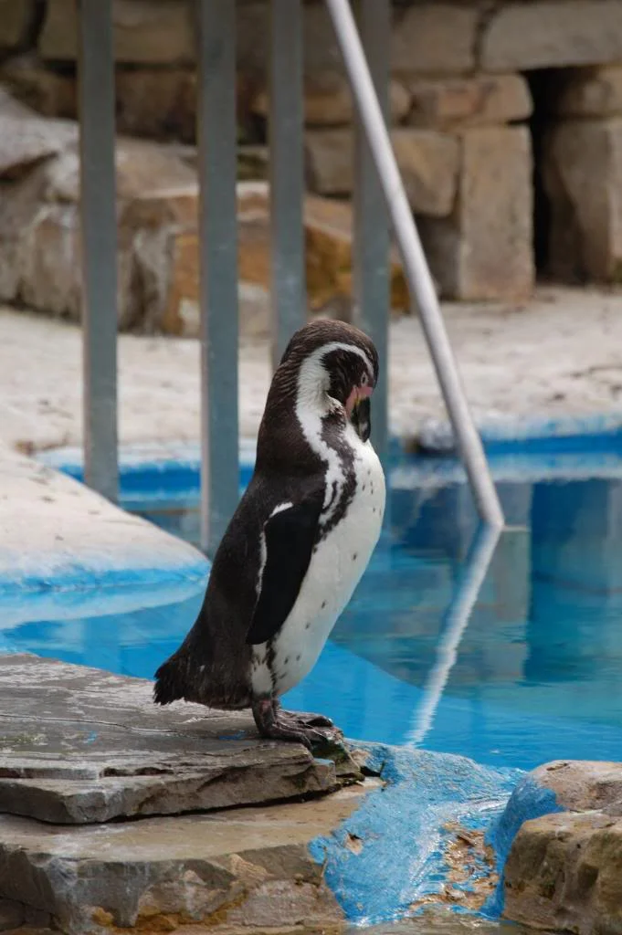 DSC_0001_332.webp
