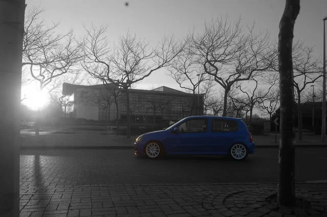 DSC_0002-1copy.webp