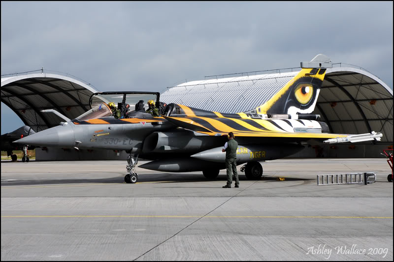 DSC_0002_Tiger_Rafale.jpg