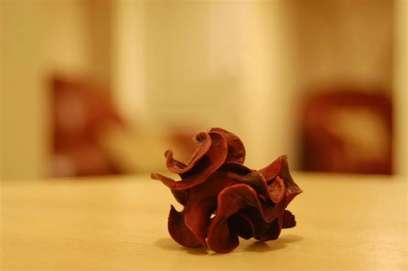 DSC_0003Medium.webp