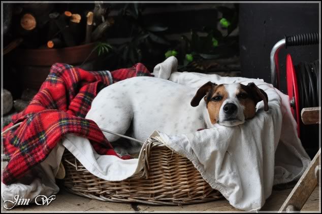 DSC_0004.jpg DSC_0004.jpg