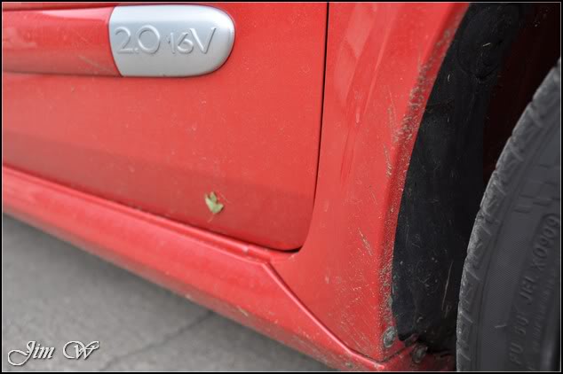 DSC_0004.jpg DSC_0004.jpg