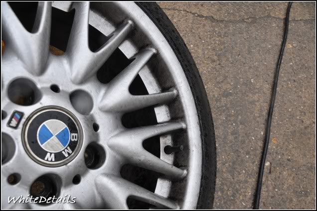 DSC_0005.jpg DSC_0005.jpg