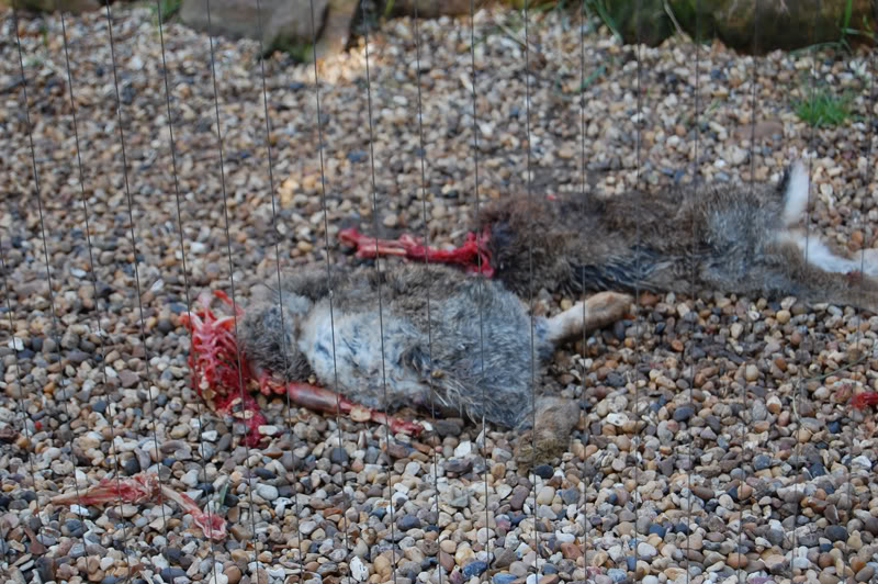 DSC_0008-Edit.jpg DSC_0008-Edit.jpg