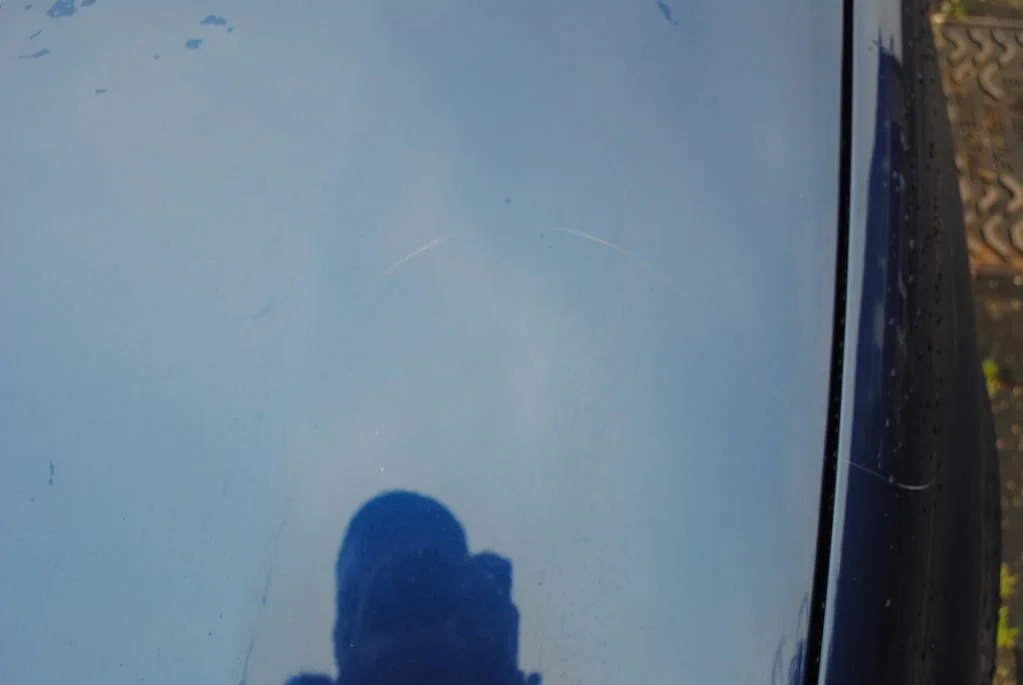 DSC_0008.webp