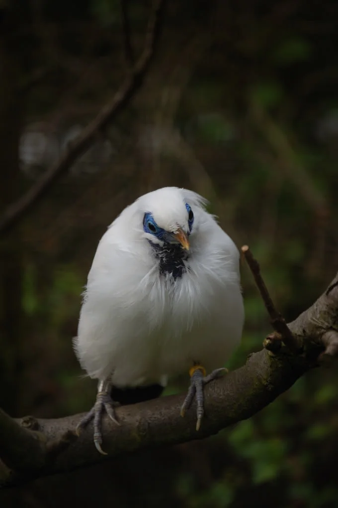 DSC_0009_353.webp