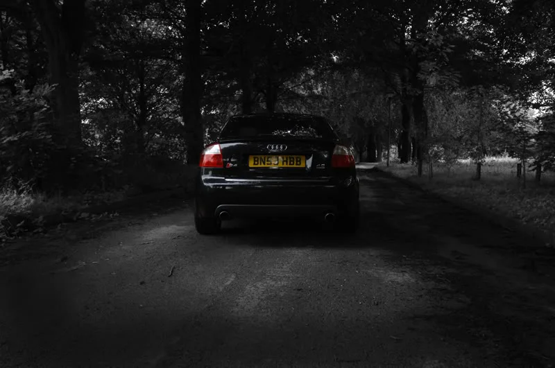 DSC_0013-2.webp