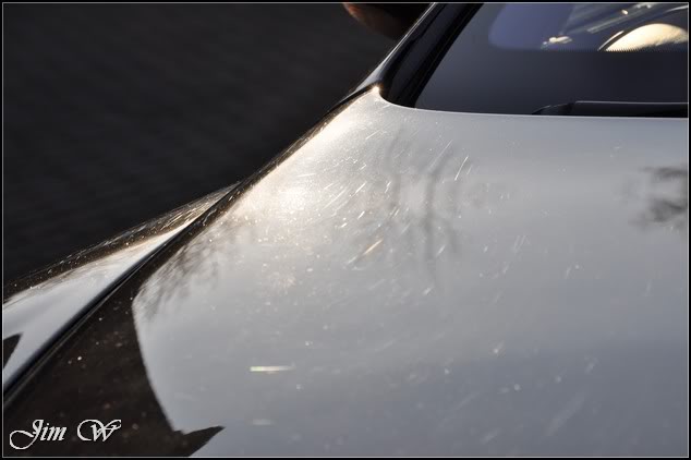 DSC_0013.jpg DSC_0013.jpg