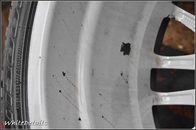 DSC_0013.jpg DSC_0013.jpg