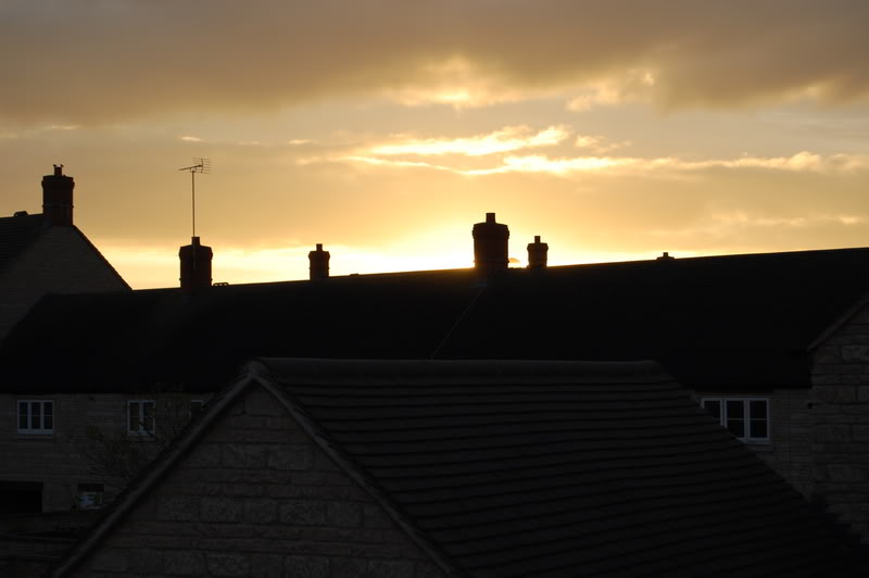 DSC_0015-1.jpg