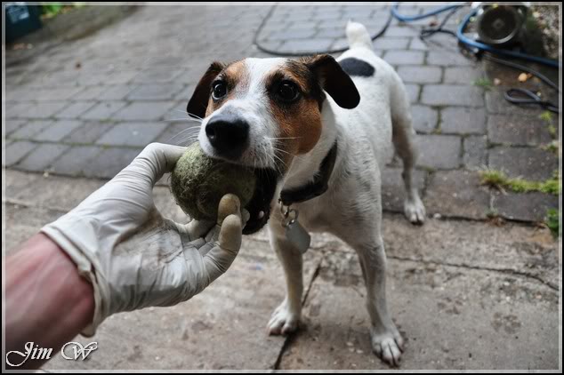 DSC_0016.jpg DSC_0016.jpg