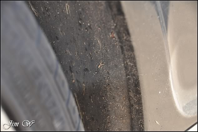 DSC_0016.jpg DSC_0016.jpg