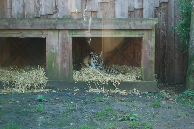 DSC_0017-Edit.jpg DSC_0017-Edit.jpg