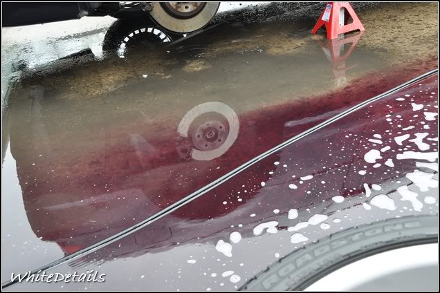 DSC_0017.jpg DSC_0017.jpg