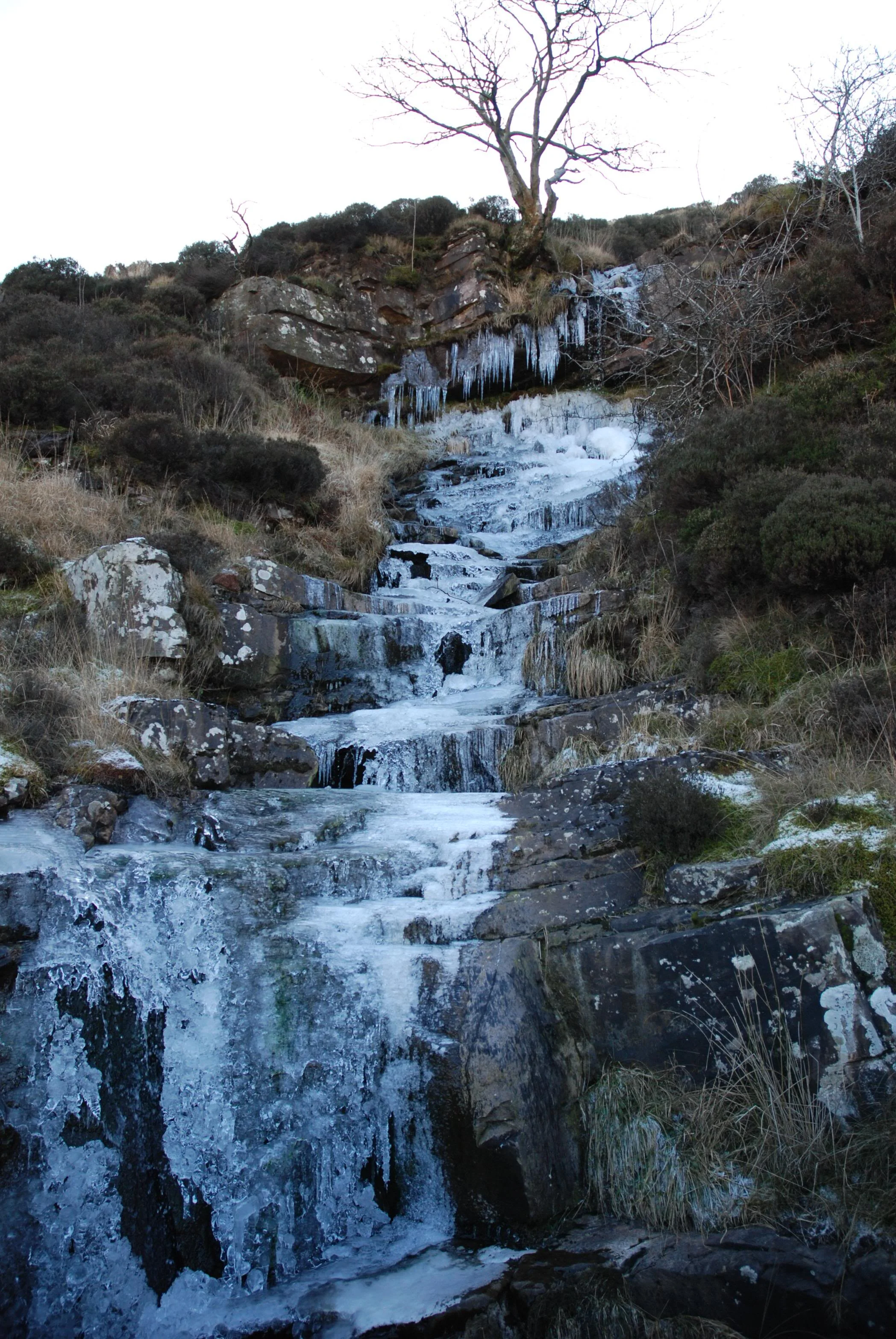 DSC_0017.webp