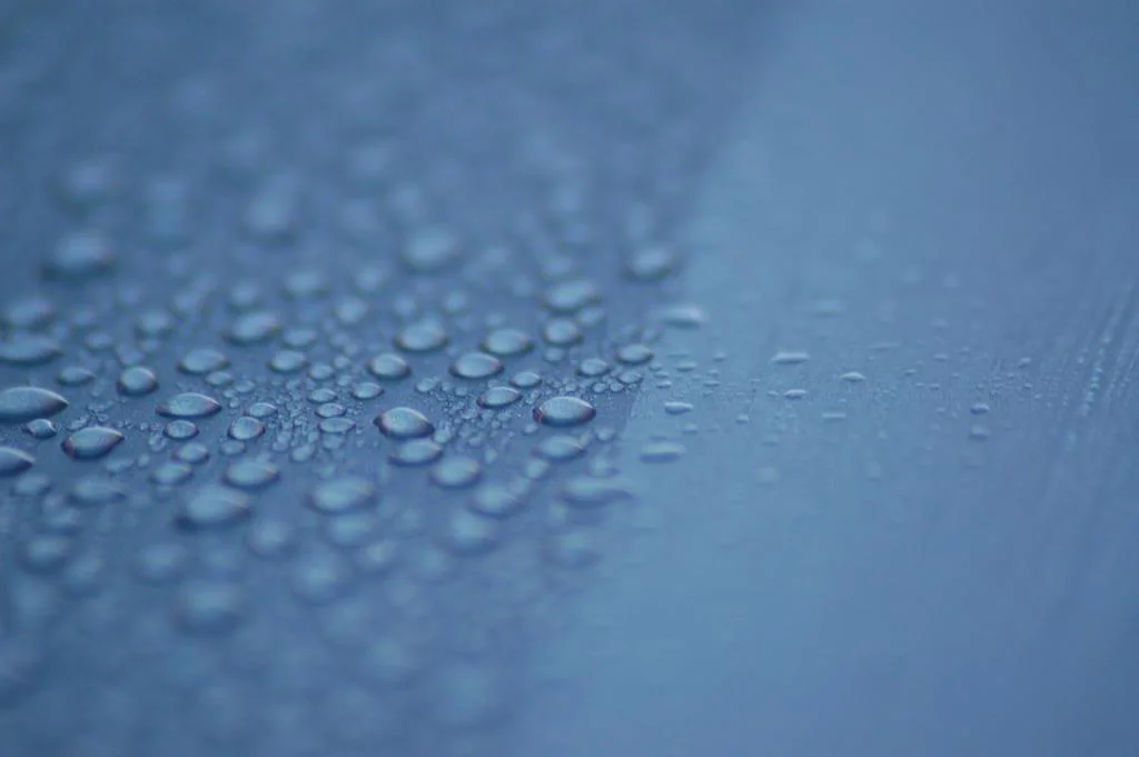 DSC_0017.webp