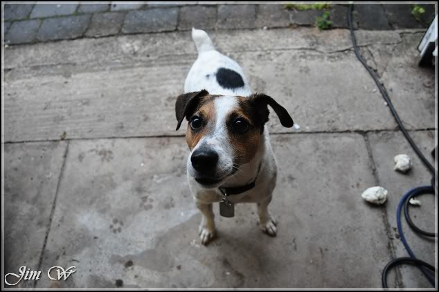 DSC_0019.jpg DSC_0019.jpg