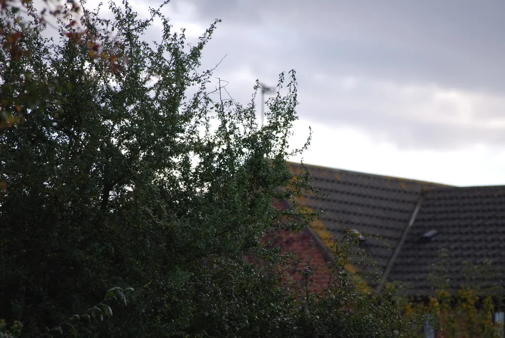 DSC_0021.webp