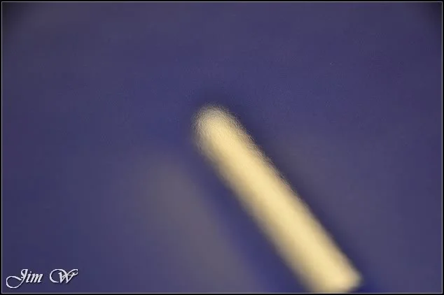DSC_0021.webp