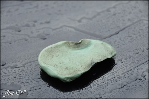 DSC_0022.jpg DSC_0022.jpg