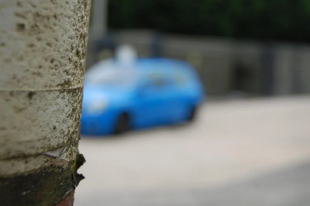 DSC_0022.webp