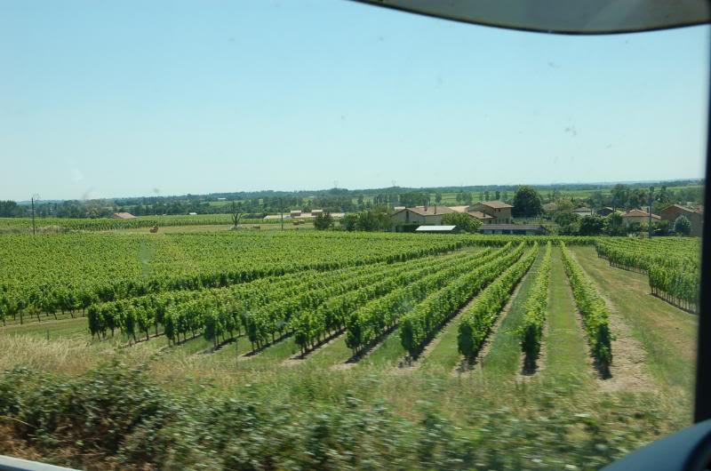 DSC_0023.jpg DSC_0023.jpg