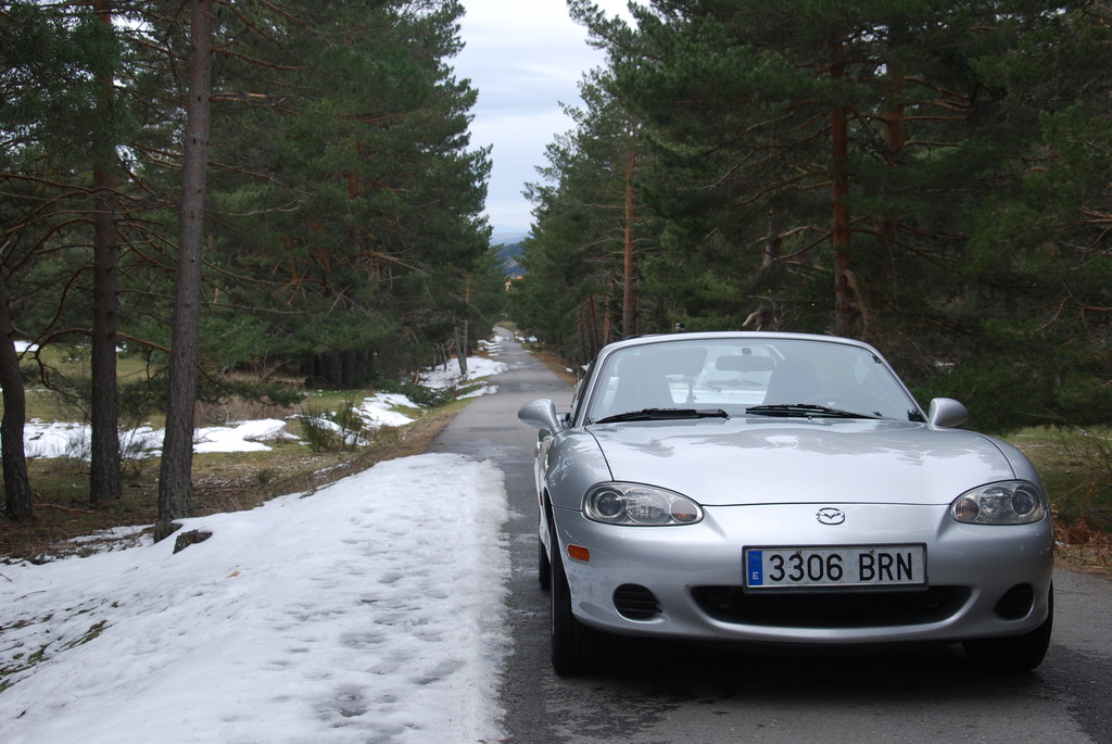 DSC_0023_zpsasrsackr.jpg