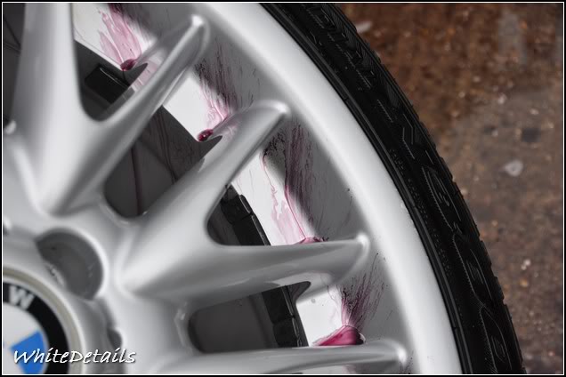 DSC_0024.jpg DSC_0024.jpg