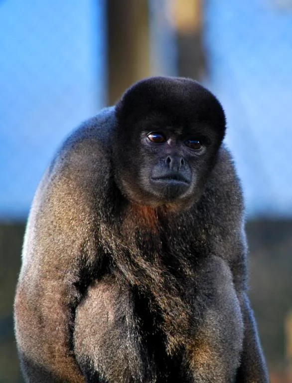DSC_0024.webp