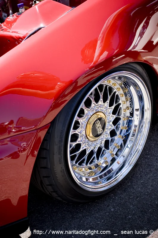 dsc_00241.webp