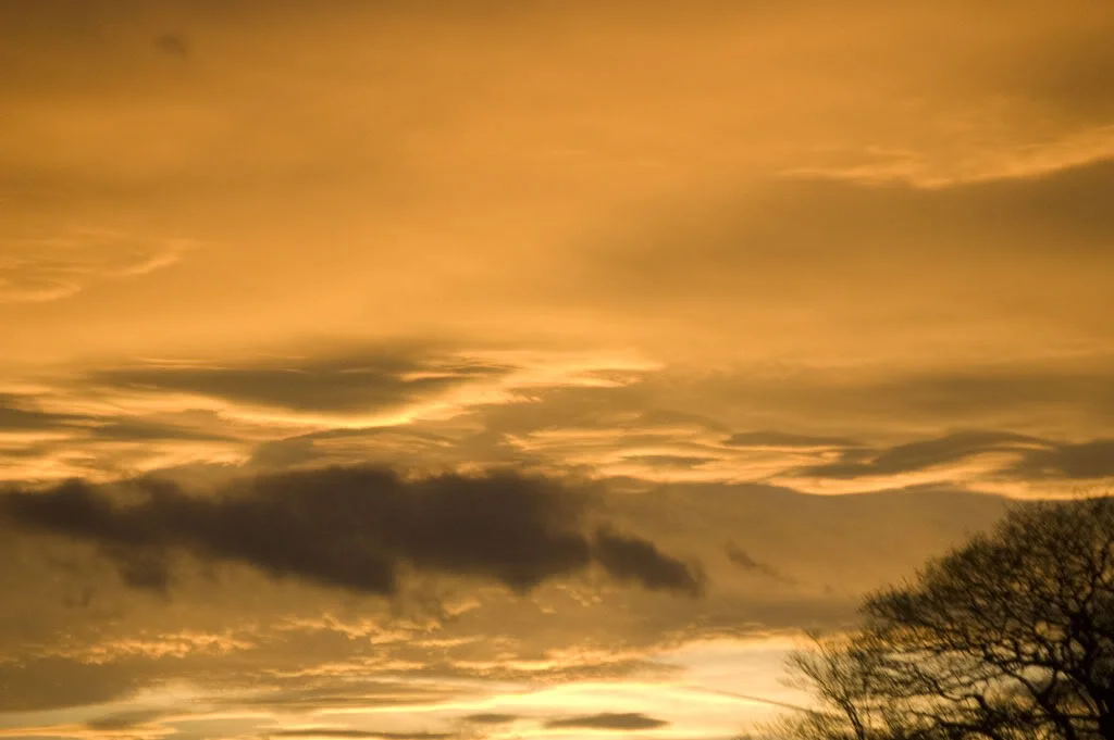 DSC_0026.webp