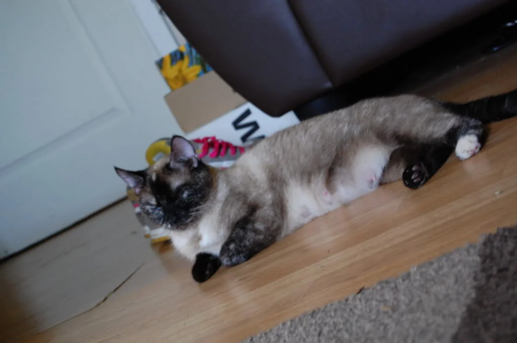 DSC_0026.webp