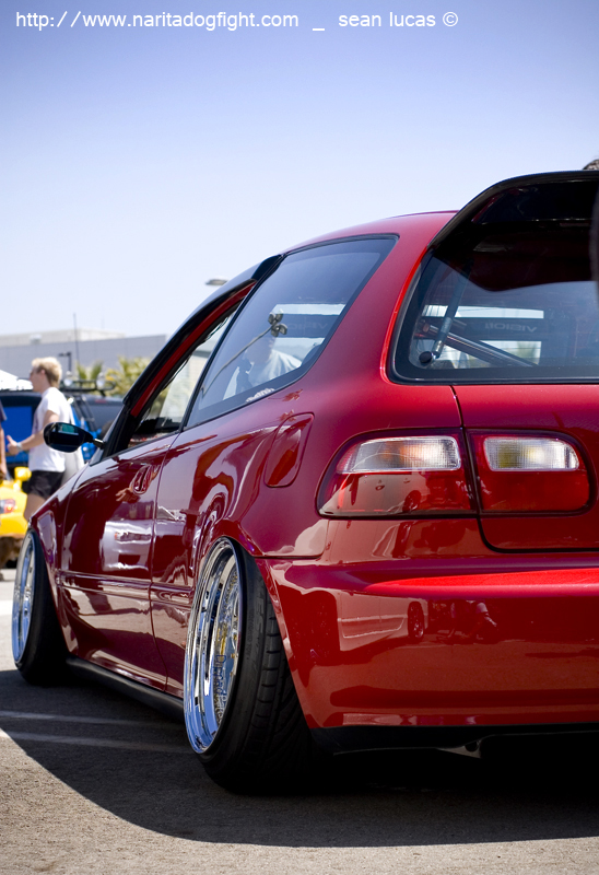 dsc_00262.jpg