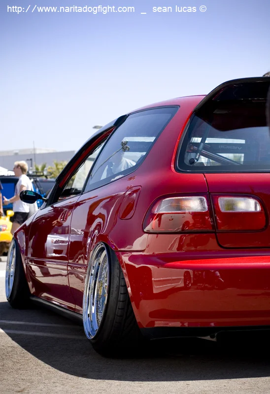 dsc_00262.webp
