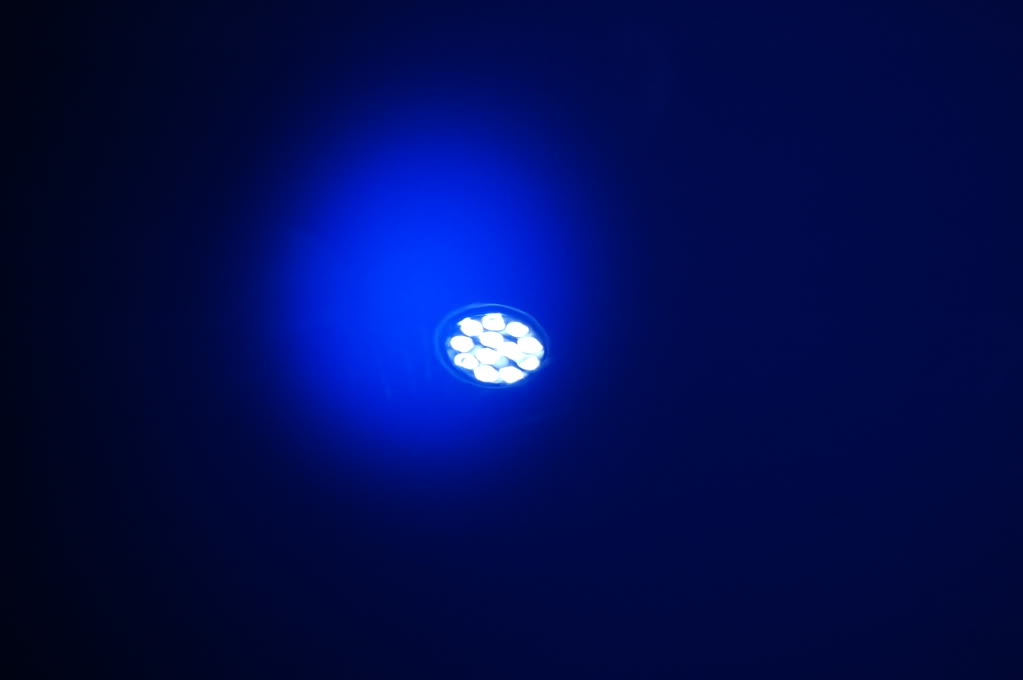 DSC_0027.jpg