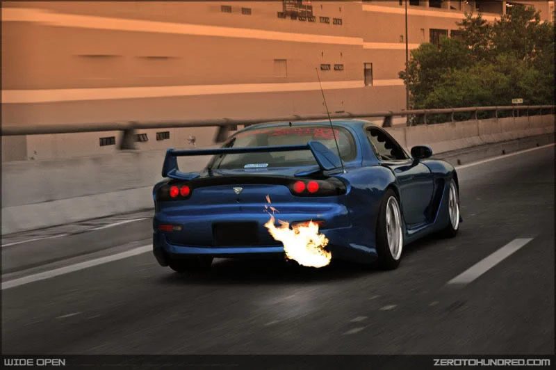 DSC_0027.webp