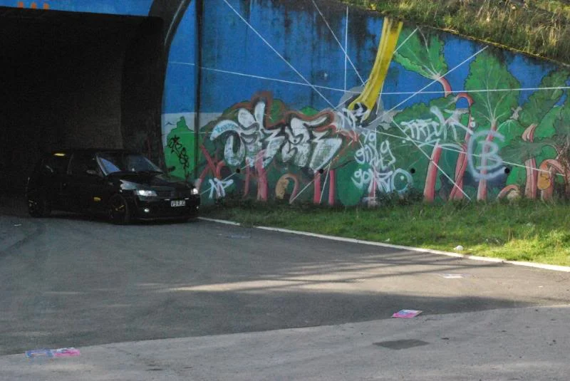DSC_0028.webp
