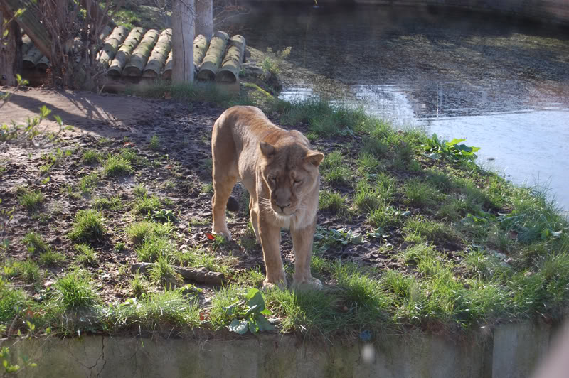 DSC_0029-Edit.jpg DSC_0029-Edit.jpg