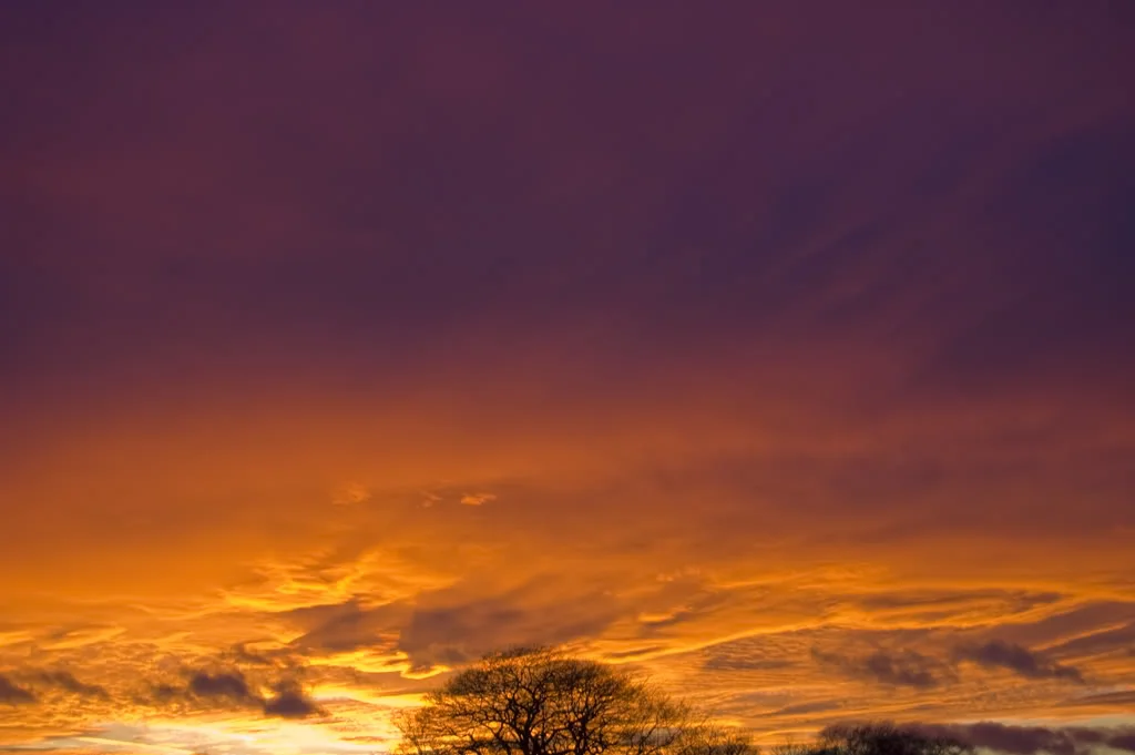 DSC_0030.webp